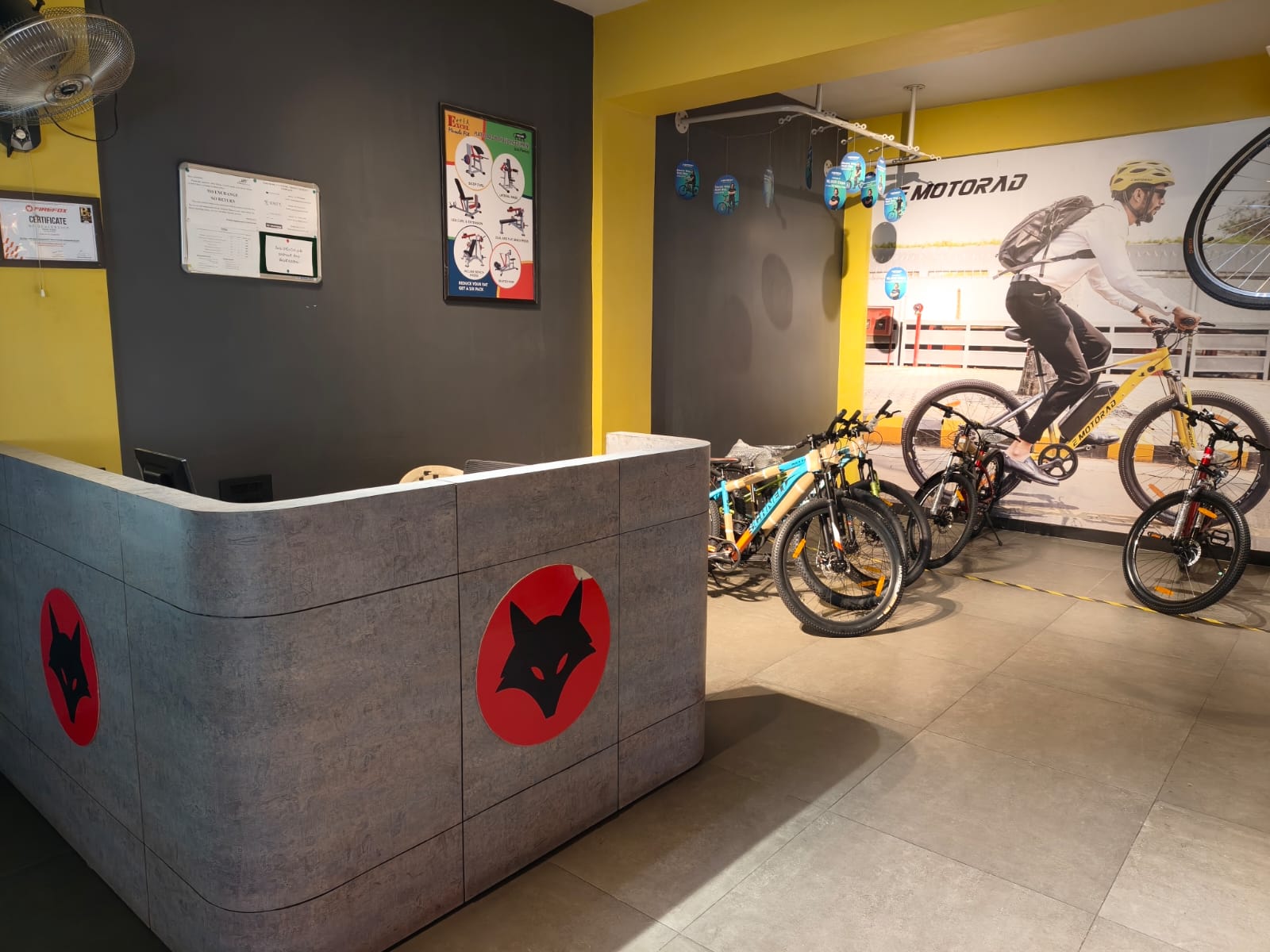 Showroom Wall displays